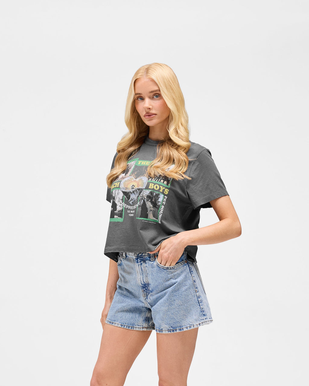Represent x Beach Boys Pet Sounds T-Shirt - Sunfade Grey